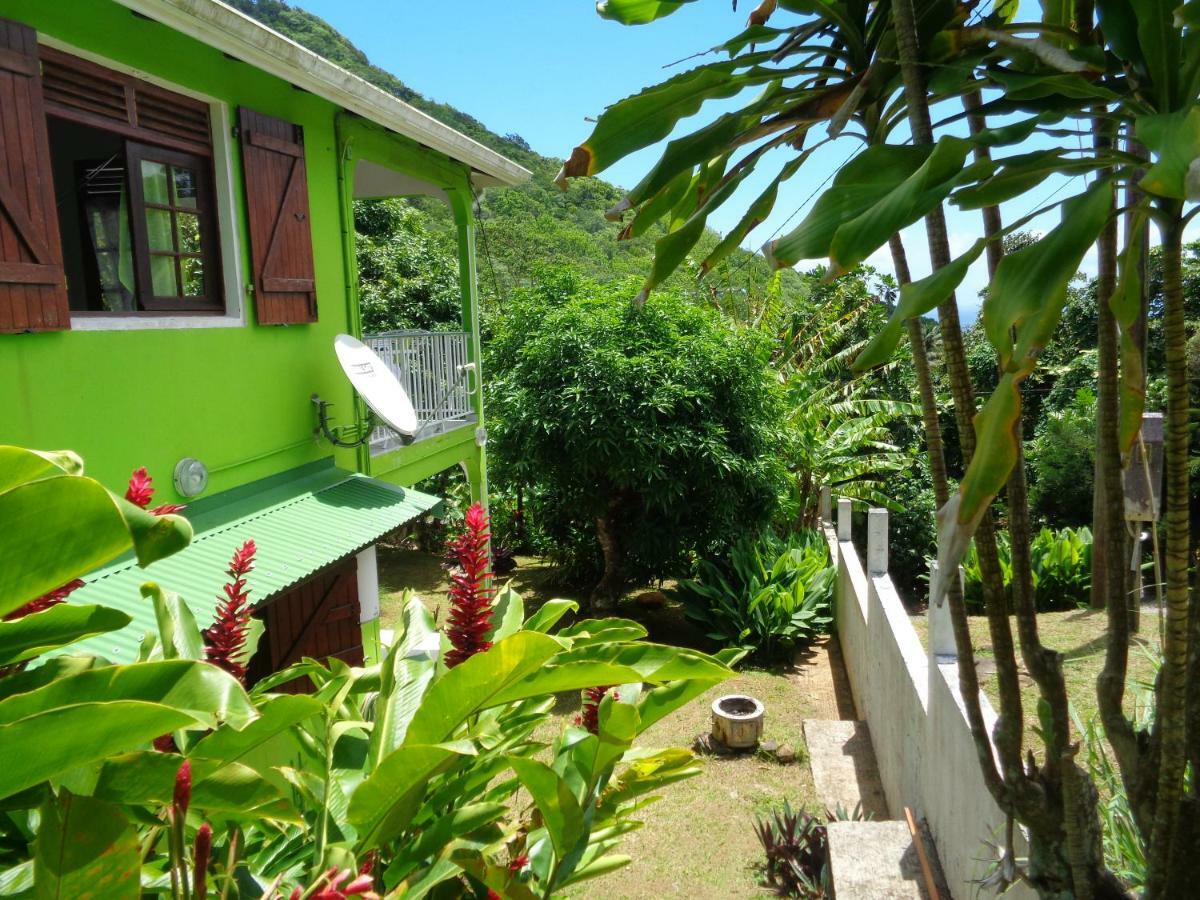 Jardin Bananier Apartman Deshaies Kültér fotó